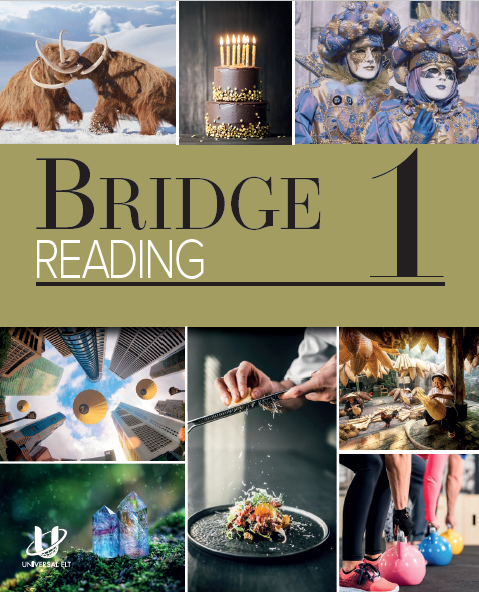 Bridge 1 Reading